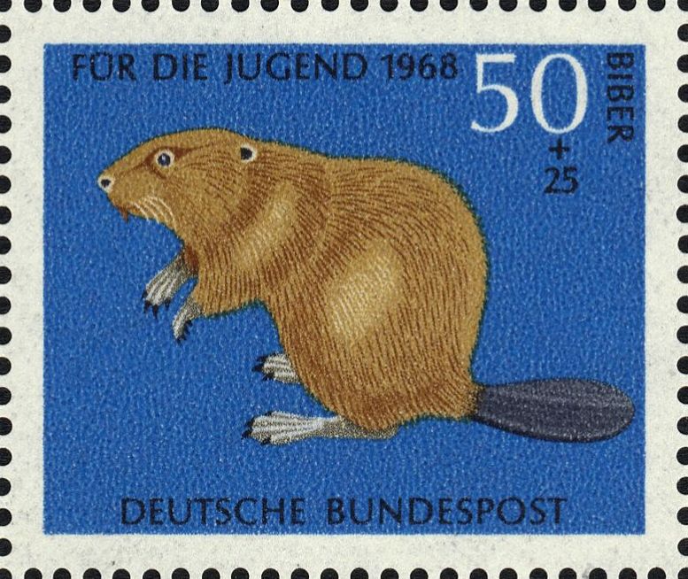 Image:bnd0552.1.big.jpg