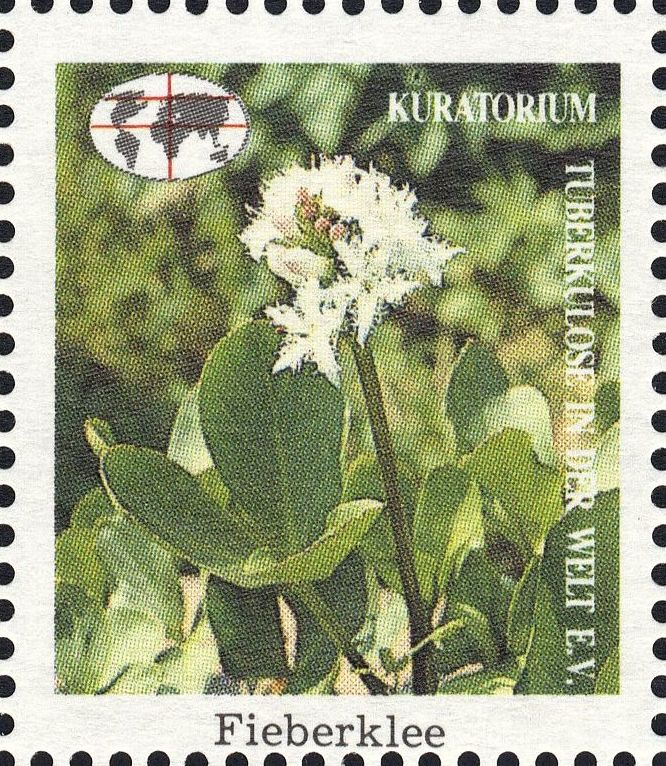 Image:vgn_bnd_wsm1991.1.0240.big.jpg