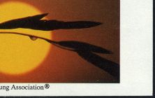 Image:vgn_usa_ss1990.1.small_zvf32.jpg