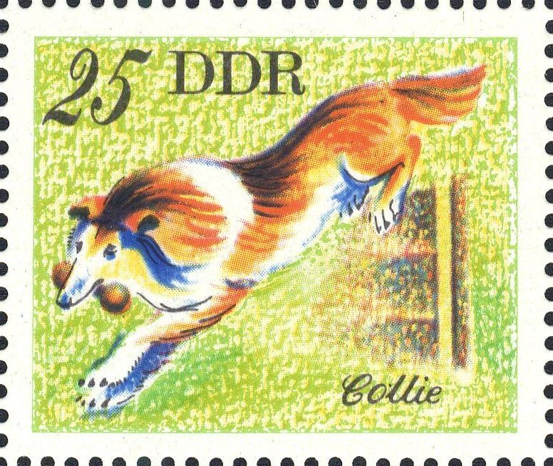 Image:ddr2158.2.big.jpg