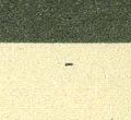 Image:ddr2615.1.small_U3a.jpg