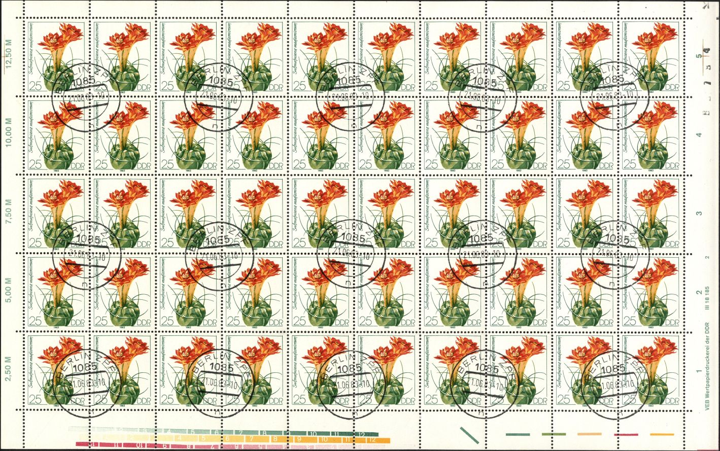 Image:ddr2805.6js.small_bg1.jpg