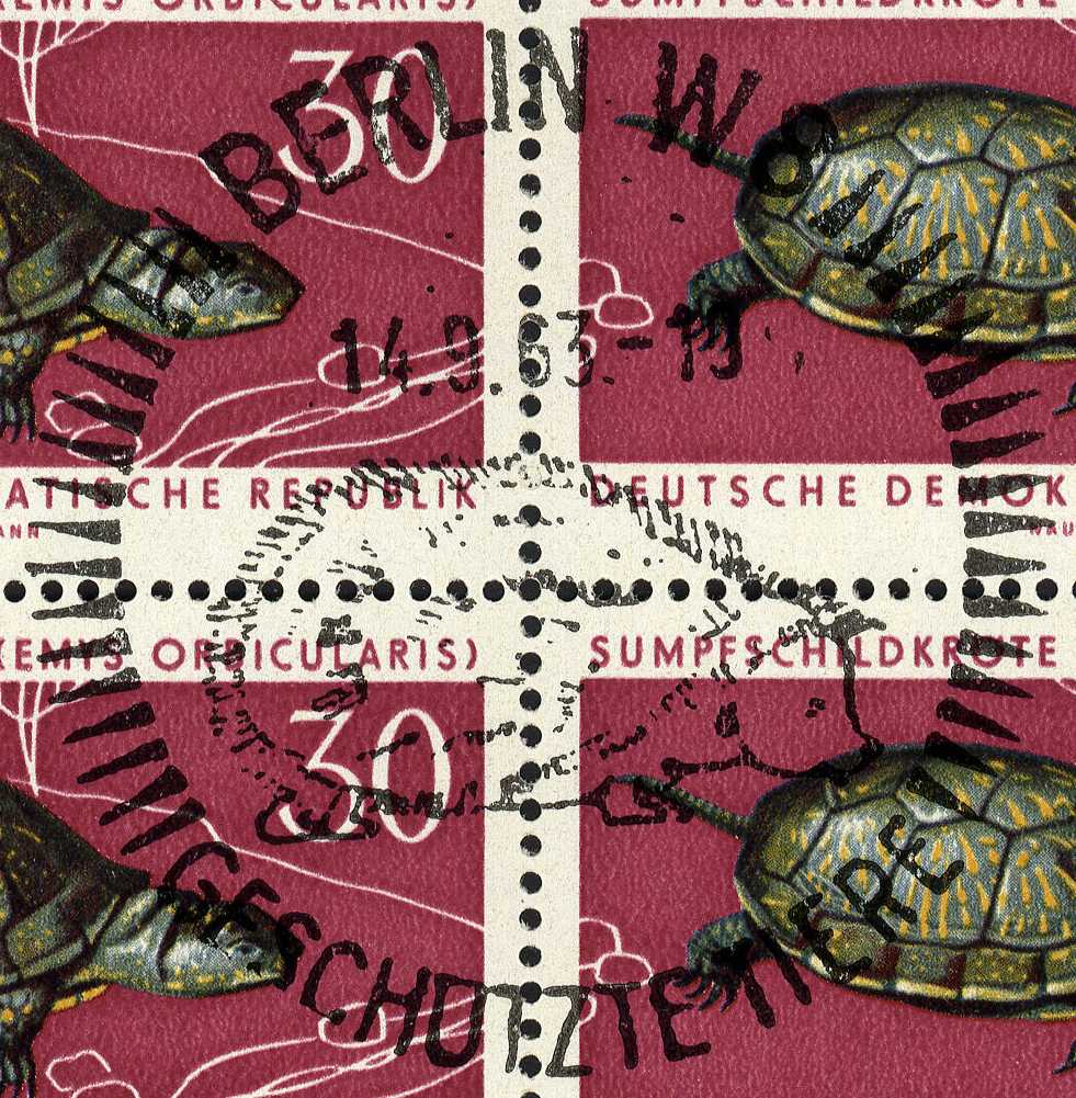 Image:ddr0980.1.big_st.jpg