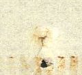 Image:bln0043.5.small_zpfO7ab.jpg