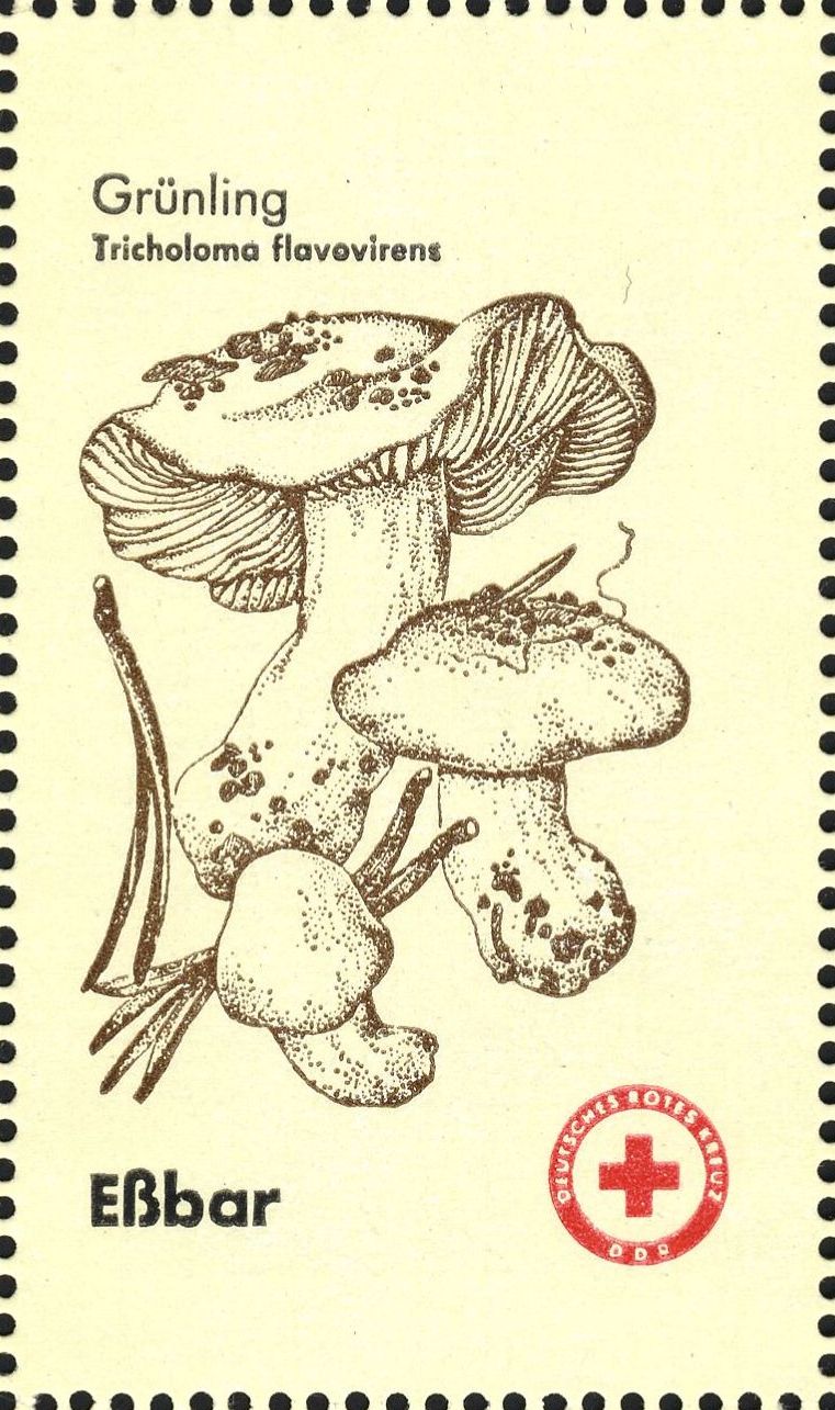Image:ddr_drksms0008.1.f10.big.jpg