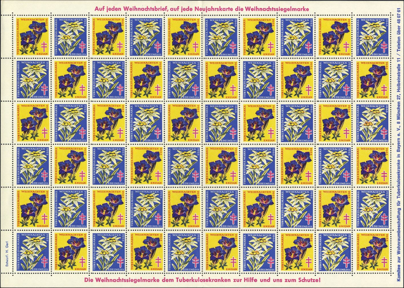 Image:vgn_bnd_wsm1965.17.small_bg1.jpg