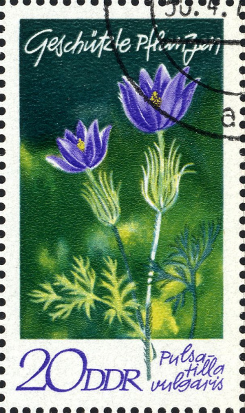 Datei:Ddr1564.1.big.jpg