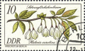 Vorschaubild für Version vom 18:04, 12. Mai 2021