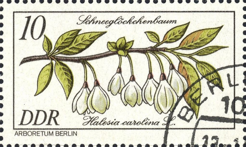 Datei:Ddr2574.1.big.jpg