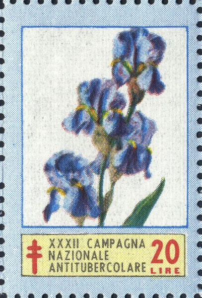 Datei:Vgn ita wsm1969.2.f1.big.jpg