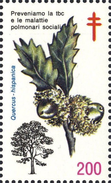 Datei:Vgn ita wsm1989.1.f4.big.jpg