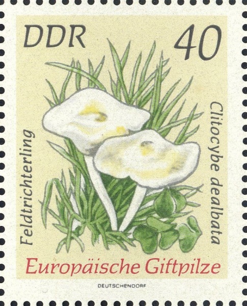 Datei:Ddr1940.1.big.jpg
