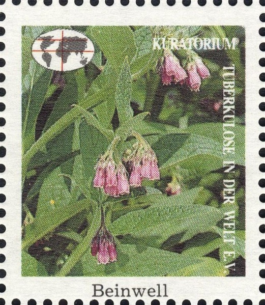 Datei:Vgn bnd wsm1991.1.0243.big.jpg