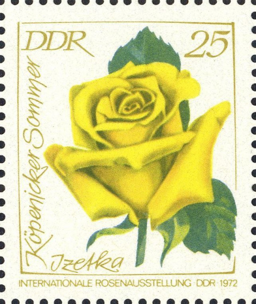 Datei:Ddr1779.1.big.jpg