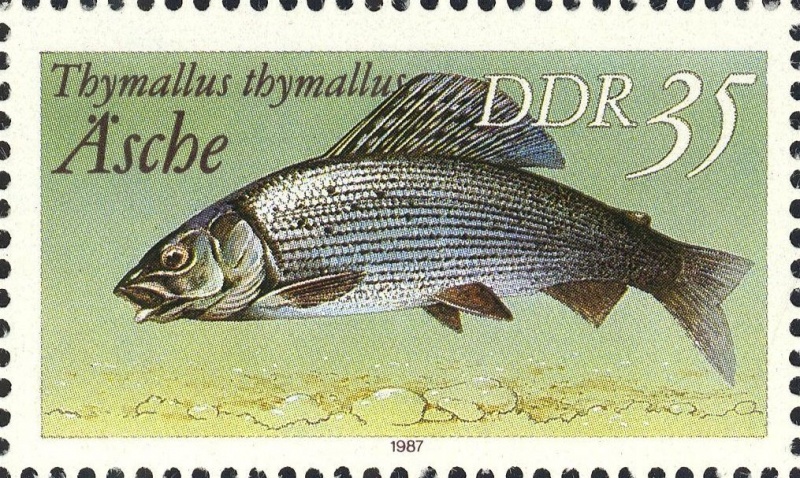 Datei:Ddr3098.1.big.jpg