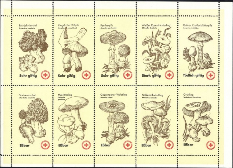 Datei:Ddr drksms0008.2.small bg1.jpg