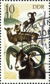 MiNr. 2270