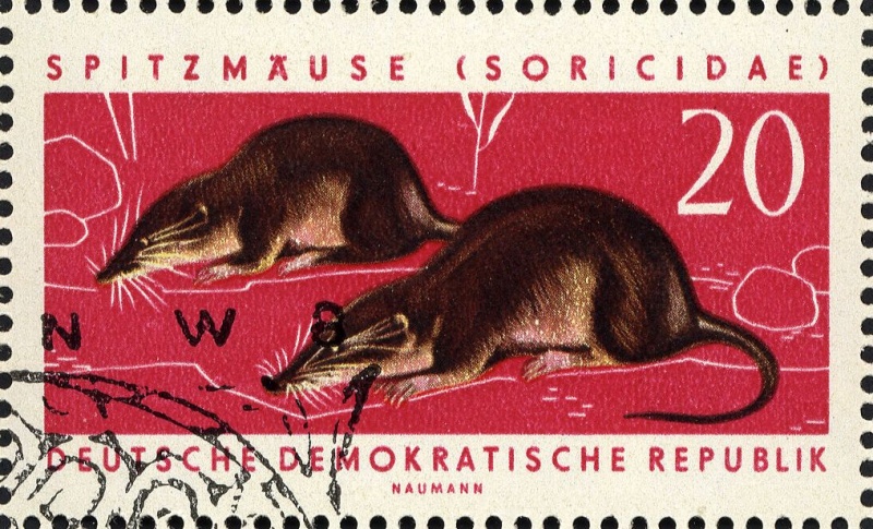 Datei:Ddr0871.2.big.jpg