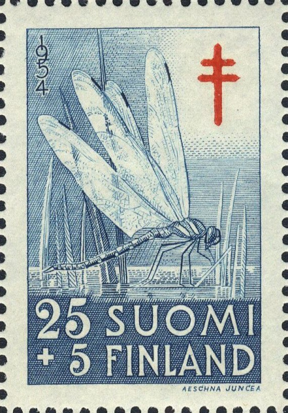 Datei:Fin0436.1.big.jpg