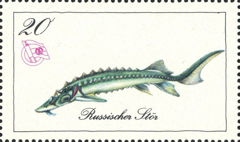 Datei:Ddr dsfsms1973.1.big.jpg