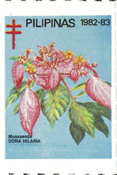 Datei:Vgn phl wsm1982.1.f41.big.jpg