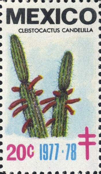 Datei:Vgn mex wsm1977.1.f47.big.jpg