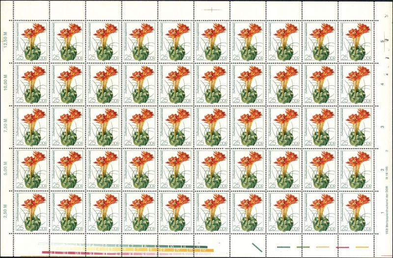 Datei:Ddr2805.1.small bg1.jpg