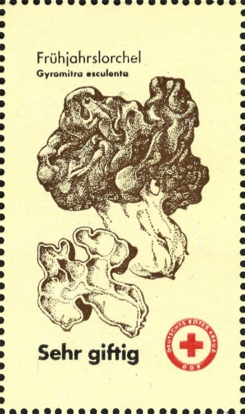 Datei:Ddr drksms0008.1.big.jpg