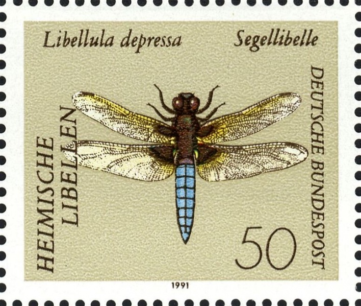 Datei:Bnd1545.1.big.jpg