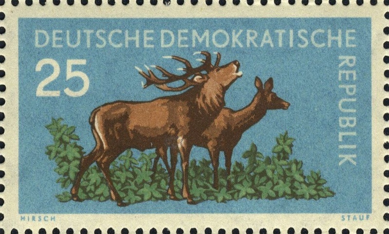 Datei:Ddr0740.11.big.jpg