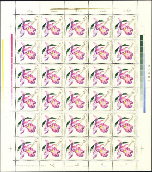 Datei:Ddr1424.1.small bg1.jpg