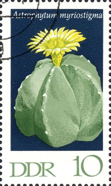 Datei:Ddr1626.1.big.jpg