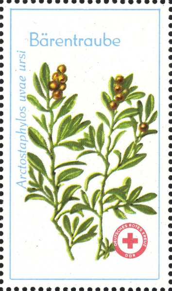 Datei:Ddr drksms0007.1.big.jpg