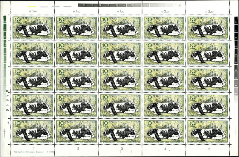 Datei:Ddr1541.1.small bg1.jpg