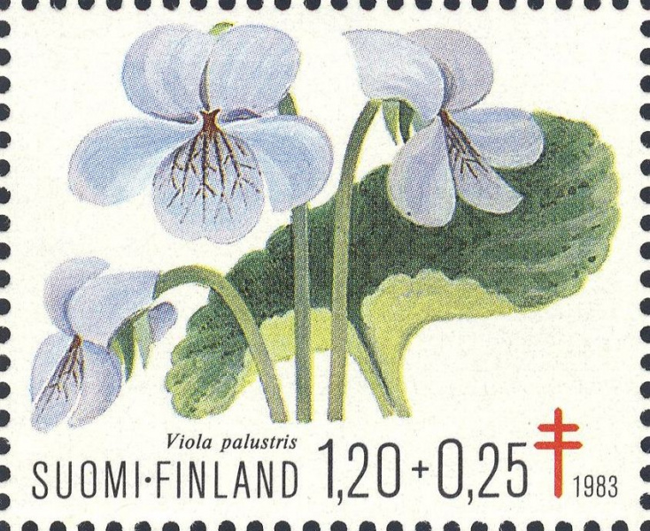 Datei:Fin0933.1.big.jpg