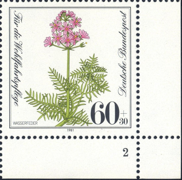 Datei:Bnd1110.2.big fn2f25.jpg