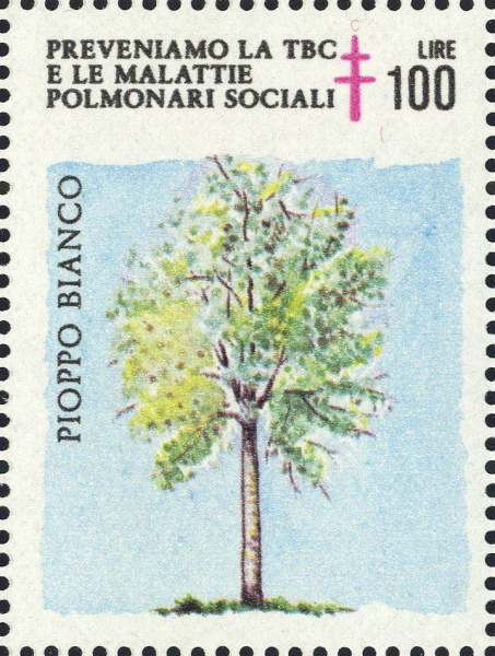 Datei:Vgn ita wsm1983.1.f2.big.jpg