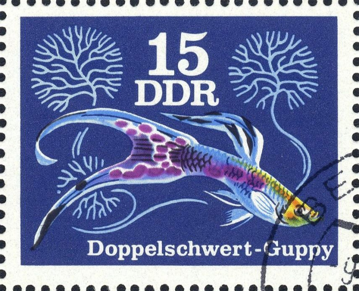Datei:Ddr2177.1.big.jpg