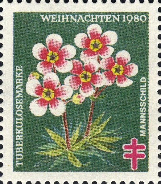 Datei:Vgn bnd wsm1980.10.f1.big.jpg