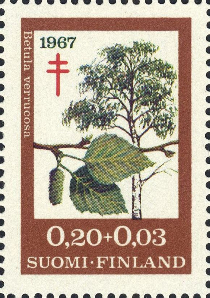 Datei:Fin0623.1.big.jpg
