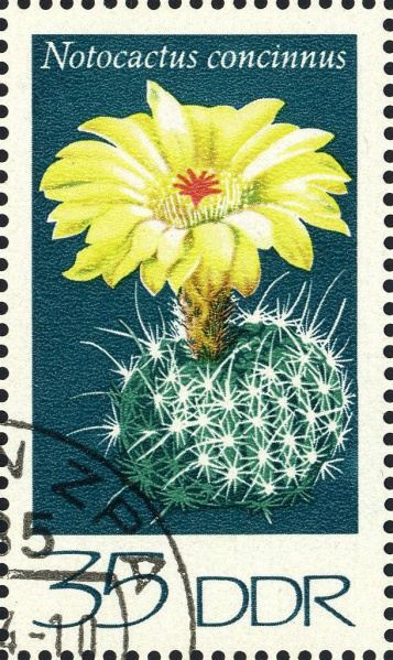 Datei:Ddr1927.1.big.jpg