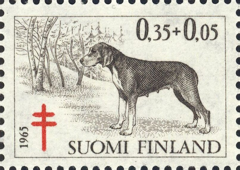 Datei:Fin0602.1.big.jpg