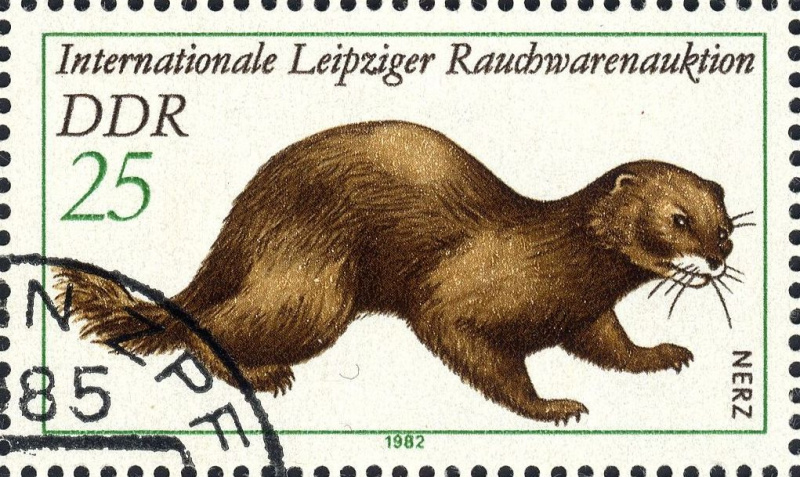 Datei:Ddr2679.1.big.jpg