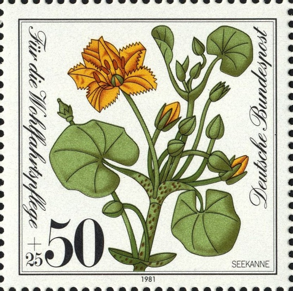 Datei:Bnd1109.2.big.jpg
