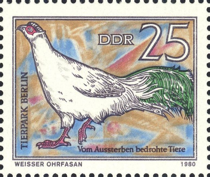 Datei:Ddr2526.1.big.jpg