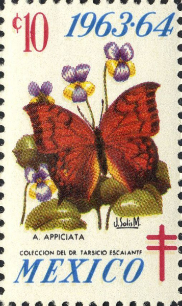 Datei:Vgn mex wsm1963.1.f11.big.jpg