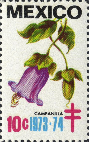 Datei:Vgn mex wsm1973.1.f27.big.jpg