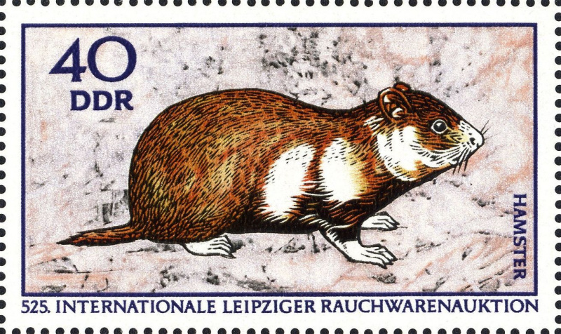 Datei:Ddr1544.1.big.jpg