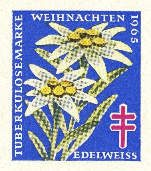 Datei:Vgn bnd wsm1965B.2.0049.big.jpg