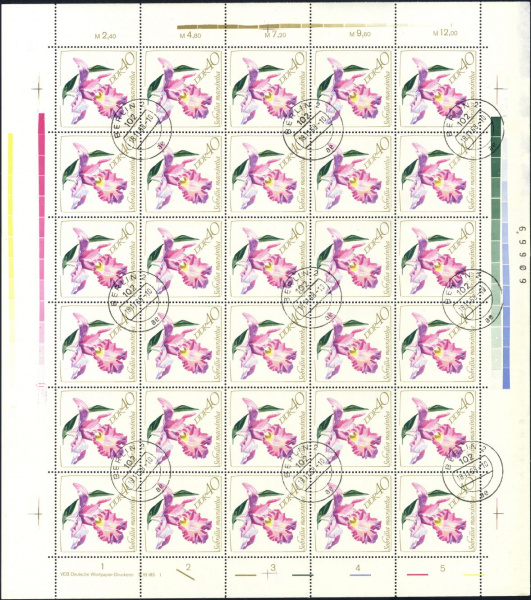 Datei:Ddr1424.2.small bg1.jpg